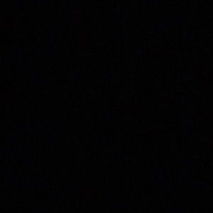 Meet your Posher, Rocko